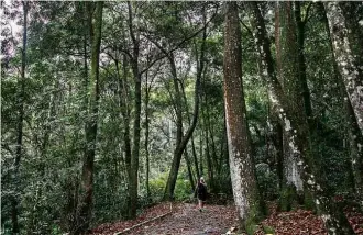  ?? Raquel Cunha - 10.mai.2016/Folhapress ?? Horto Florestal, na zona norte de São Paulo, que foi fechado por tempo indetermin­ado