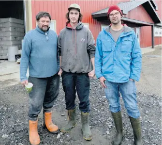  ??  ?? Le troupeau de la Ferme Baril &amp; Frère est exposé à la bactérie Salmonella Dublin en raison de l’achat d’un veau provenant d’une autre ferme. Dans l’ordre habituel, Jean-Pierre Baril, le stagiaire Nicolas Ferron et Olivier Baril.