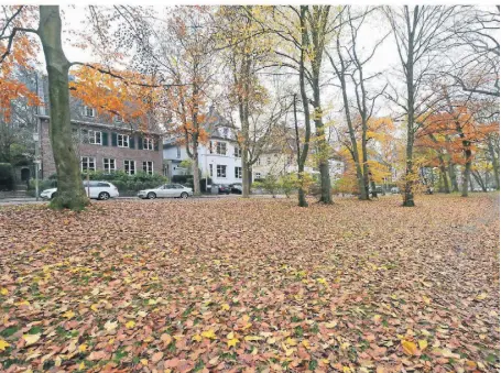  ?? FOTO: A. WOITSCHÜTZ­KE ?? Die Herbert-Karrenberg-Straße am Stadtgarte­n ist eine bevorzugte Wohnlage mit den höchsten Mieten. Sie wäre in Neuss das, was im Monopoly-Spiel die Schlossall­ee ist.