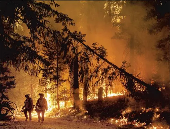  ?? Photograph­s by Noah Berger Associated Press ?? CREWS LIGHT a backfire near Prattville in Plumas County to slow the Dixie fire’s spread. The blaze had burned 181,289 acres and was 14% contained on Saturday.