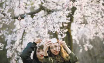  ?? BEHROUZ MEHRI AGENCE FRANCE-PRESSE ?? Un hommage sensible à un certain Japon, empreint de délicatess­e et de douceur. Il existe un autre Japon, mais l’écrivaine a choisi de le laisser à d’autres.