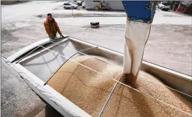  ?? CHARLIE NEIBERGALL / ASSOCIATED PRESS ?? Terry Morrison of Earlham, Iowa, is one of America’s soybean farmers, who send about 60 percent of their exports to China. Their shipments will now be subject to a 25 percent tariff, which will make their crops far costlier in China.