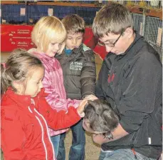  ?? ARCHIVFOTO: STEIDLE ?? Streicheln erwünscht heißt es bei der Lokalschau der Kleintierz­üchter am Wochenende in Laichingen.