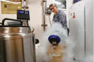  ?? J.B. Forbes photos / St. Louis Post-Dispatch ?? Karen Bauman, cryobiolog­y lab manager at the St. Louis Zoo, fills the tanks containing frozen semen and egg samples of various zoo animals with liquid nitrogen on Nov. 15. The zoo worked with the Infertilit­y Center of St. Louis to develop a way to...