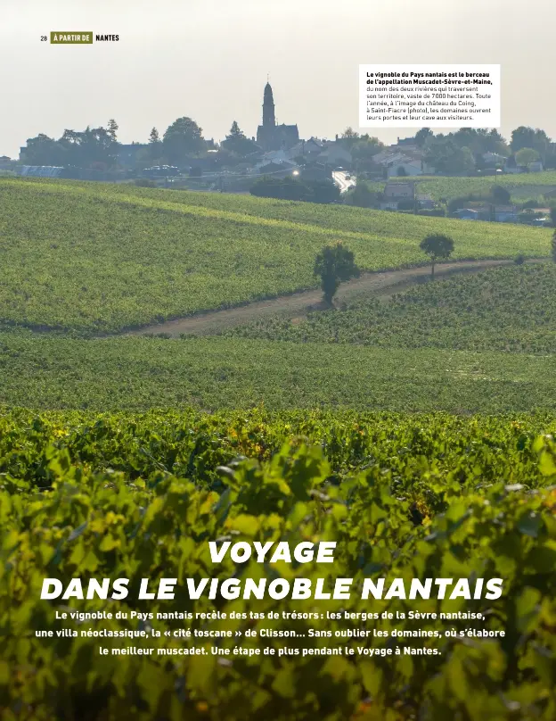  ??  ?? Le vignoble du Pays nantais est le berceau de l’appellatio­n Muscadet-sèvre-et-maine, du nom des deux rivières qui traversent son territoire, vaste de 7000 hectares. Toute l’année, à l’image du château du Coing, à Saint-fiacre (photo), les domaines ouvrent leurs portes et leur cave aux visiteurs.