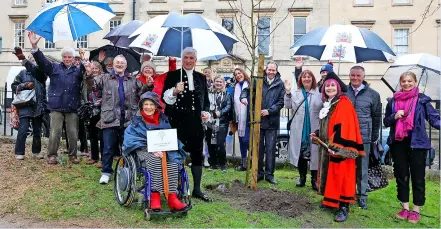  ?? Pic: Paul Gillis ?? Civic leaders and guests see the planting of a London plane in Bath to mark the Queen’s 70th jubilee year