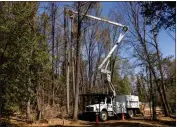  ?? PHOTOS BY JOSHUA DELAWRENCE FOR THE RECORD-BEE ?? PG&E crews work on tree removal in Cobb.