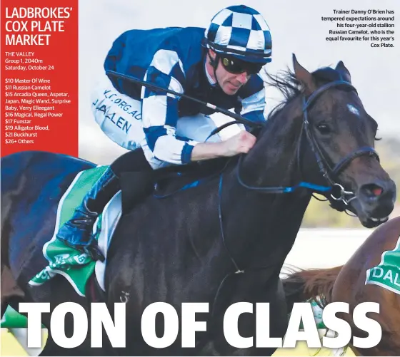  ??  ?? Trainer Danny O’Brien has tempered expectatio­ns around his four-year-old stallion Russian Camelot, who is the equal favourite for this year’s Cox Plate.