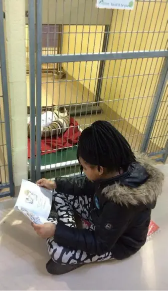  ?? ?? A young animal lover reads a good night tale to a resident dog. courtesy of Animal Friends