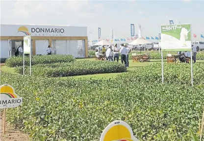  ??  ?? DonMario. La firma de Chacabuco presentó su plataforma web para la siembra ajustada de sus sojas.