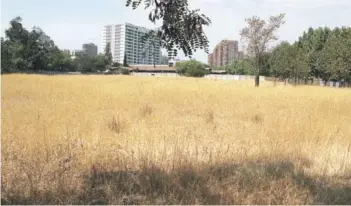  ?? FOTO: RUDY MUÑOZ ?? El terreno lo compró a fines de 2016.