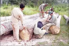  ?? FACEBOOK ?? Military police officials collect and record data on logs seized from the Hong Sopheap Developmen­t Company in Preah Vihear province earlier this week.