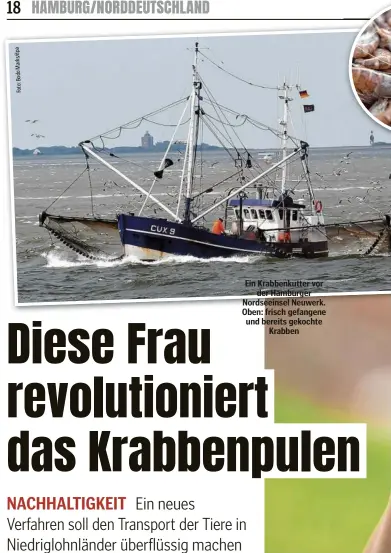  ??  ?? Ein Krabbenkut­ter vor der Hamburger Nordseeins­el Neuwerk. Oben: frisch gefangene und bereits gekochte Krabben