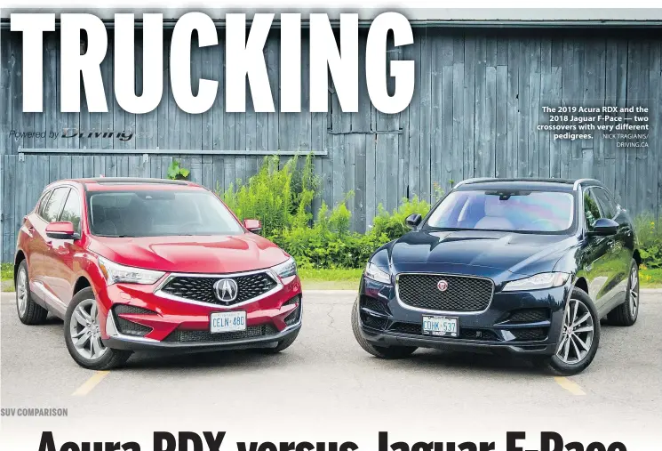  ?? NICK TRAGIANIS/ DRIVING.CA ?? The 2019 Acura RDX and the 2018 Jaguar F-Pace — two crossovers with very different pedigrees.