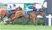  ?? Pictures / Race Images, Trish Dunell ?? It would be a shock if the Horse of the Year title came from outside a group comprising Kawi ( left) and the star three- year- olds Gingernuts ( centre) and Bonneval.