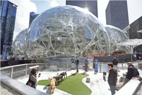  ?? ELAINE THOMPSON/AP ?? Amazon expanded its Seattle campus last year before deciding on headquarte­rs sites in New York and Northern Virginia.