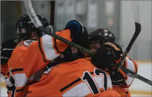  ?? NEWS PHOTO RYAN MCCRACKEN ?? The Medicine Hat Hounds celebrate after scoring a goal in the second period of Thursday's South Central Alberta Hockey League bantam South Conference playoff tournament game against the Lethbridge Hurricanes at the Kinplex.