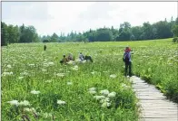  ?? PROVIDED TO CHINA DAILY ?? Visitors enjoy a garden in the Changbai Mountains.