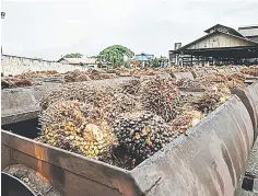  ??  ?? The suspension came as three of its operations in Indonesia’s West Kalimantan province have violated a raft of RSPO standards.