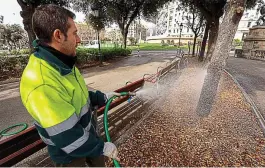  ?? ?? Groundwate­r is used to water a tree at risk of dying in the drought