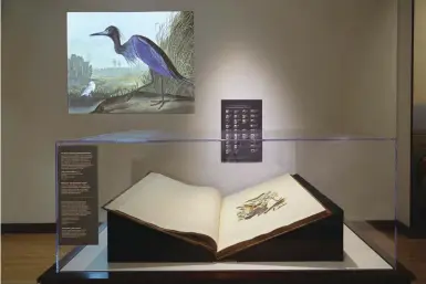  ??  ?? An original double-elephant folio of Birds of America. © Field Museum, photo by Michelle Kuo. From Audubon’s Birds of America at the Field Museum.