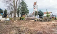  ?? ARCHIV- FOTO: RALF SCHÄFER ?? Kurz vor dem Ende: Bis auf zwei Kastanien sind auf diesem Foto alle Bäume auf dem Parkplatz in Ailingen gefällt – ohne Genehmigun­g, wie der Landkreis damals behauptet. Der Grundstück­seigner ist vom Gegenteil überzeugt.