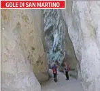  ?? ?? GOLE DI SAN MARTINO