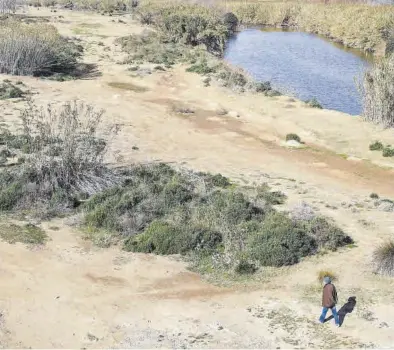  ?? QUIQUE GARCÍA / EFE ?? Una persona pasea por el margen del río en el Prat de Llobregat, ayer, cuando se declaró la emergencia en Cataluña.