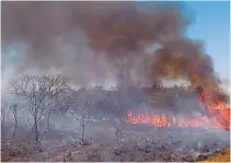  ?? JOSÉ CRUZ/AGÊNCIA BRASIL ?? Por causa do incêndio, a reabertura do parque está suspensa