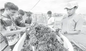  ?? — Gambar Bernama ?? IKAT BENIH: Beberapa pekerja mengikat benih rumpai laut sebelum diletakkan ke dalam laut di perairan Semporna, kelmarin.