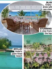  ?? ?? IDYLLIC
Hotel’s palm-lined
beach
BLISS Enjoy a drink with
sea views
STUNNING A view from
the top