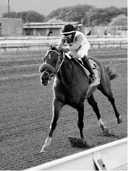  ?? FATHER PATRICK, with Jordan Barrett aboard. FILE ??