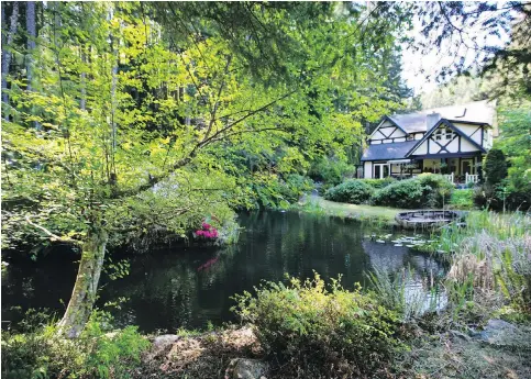  ??  ?? The pond at Markham House is planted with water lilies, rushes, rhodos and feels “energetica­lly” very good and healing, said Ulrich, who specialize­s in alternativ­e healing, craniosacr­al therapy and hypnothera­py.