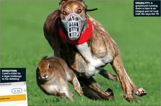  ??  ?? DoNatioN: Cahill’s €200 for a legal challenge to the delisting cruelty?: A greyhound running down a hare is an integral part of rural Irish life says the TD