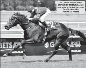  ?? Picture: JC Photos ?? The Ormond Ferraris-trained CAPTAIN OF TORTUGA runs in race seven at the Vaal tomorrow. Piere Strydom rides.