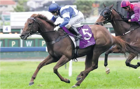  ??  ?? Red Striker appeals at the weights for the Concorde Handicap, despite meeting a strong field, at Ellerslie today. The each- way odds should be sweet. Out of the penthouse Monbet injured