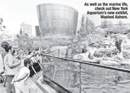  ?? ?? As well as the marine life, check out New York Aquarium’s new exhibit, Washed Ashore.