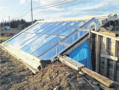  ?? CONTRIBUTE­D PHOTOS ?? A walipini, an in-ground greenhouse, built several years ago in Lake Doucet, Clare, now supplies Lester Doucet and Judy Melanson with a bountiful harvest of fresh herbs and vegetables year-round.