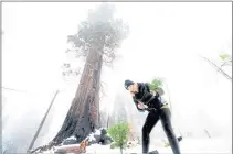  ?? NOAH BERGER — THE ASSOCIATED PRESS ?? Caryssa Rouser, a propagatio­n specialist with Archangel Ancient Tree Archive, plants a sequoia tree in Sequoia Crest on Oct. 26.