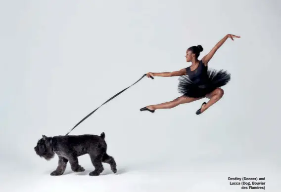  ??  ?? Destiny (Dancer) and Lucca (Dog, Bouvier des Flandres)