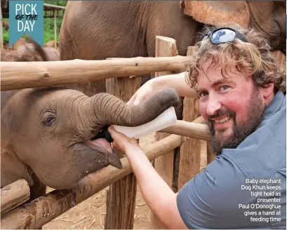  ?? ?? Baby elephant Dog Khun keeps tight hold as presenter Paul O’Donoghue gives a hand at feeding time