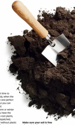  ?? ?? Make sure your soil is free of weeds before planting