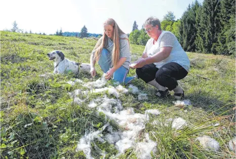  ?? FOTO: MATTHIAS BECKER ?? Alexandra Hauf und ihre Tochter Magdalena vermuten, dass ein Wolf ihre Schafe gerissen hat.