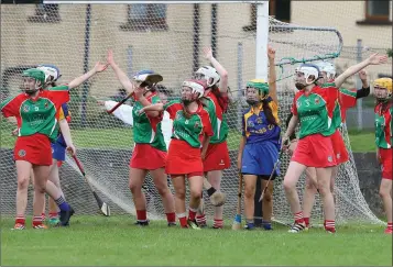  ??  ?? Niamh Byrne claims the sliotar went out for a 45 as the Mayo players wave it wide.