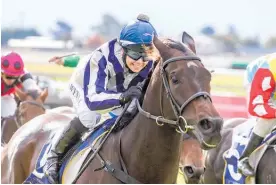  ?? Photo / Race Images South ?? Trudeau will join stablemate Who Dares Wins (pictured) in the Winter Cup at Riccarton on Saturday week.