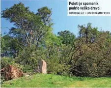  ?? FOTOGRAFIJ­E: LUDVIK KRAMBERGER ?? Poleti je spomenik podrlo veliko drevo.