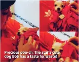  ??  ?? Precious poo-ch: The star’s cute dog Bob has a taste for waste!