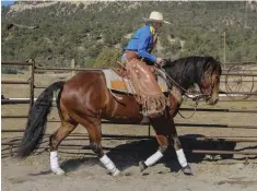  ??  ?? TOP LEFT: The moment your horse speeds up, use your inside rein and leg to stop him and disengage his hindquarte­rs. TOP RIGHT: When he’s still, let him stand a moment as a reward. ABOVE: Then turn and lope off in the opposite direction. Repeat whenever...