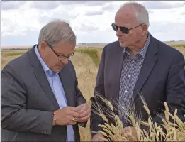  ?? SOUTHWEST BOOSTER FILE PHOTO ?? Saskatchew­an’s Minister of Agricultur­e Lyle Stewart inspected a crop with federal Agricultur­e Minister Lawrence Macaulay at the Swift Current Research and Developmen­t Centre in Sept. 2016.