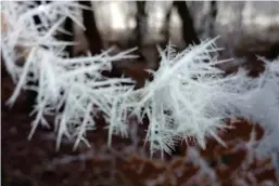  ?? ?? Water vapour freezes to ice crystals